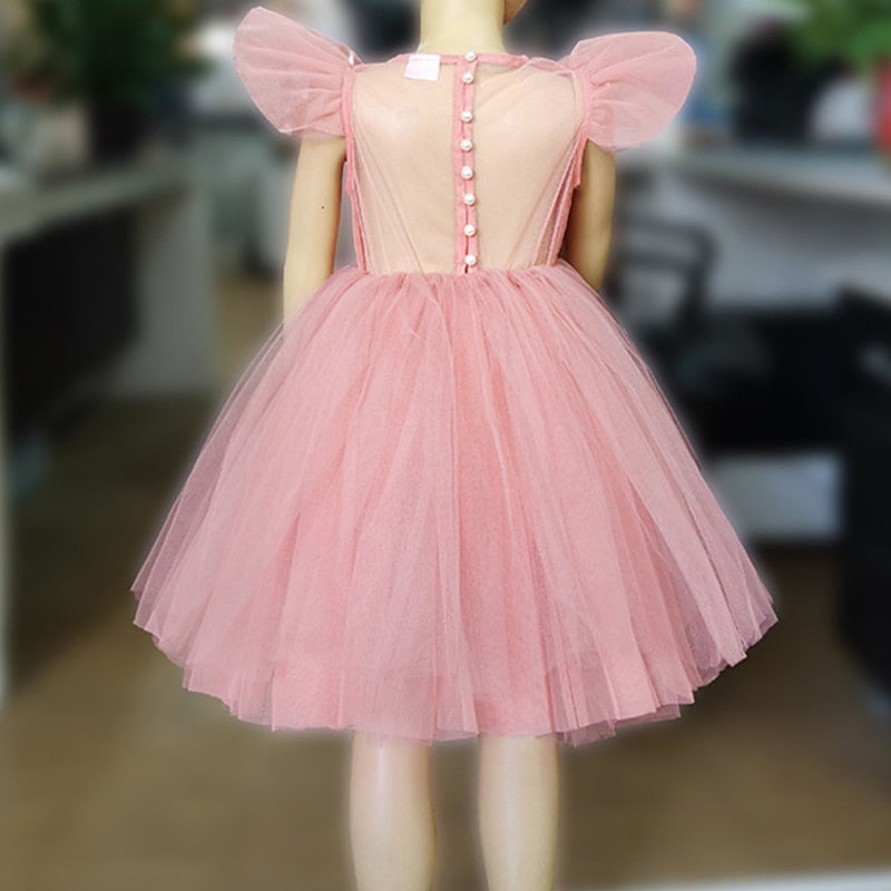 Flower Girl Dress, Girls Elegant Princess Dress, Tulle Skirt, Baby, Girls, Kids, Lace Wedding Ceremony Dresses
