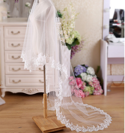 Simple Lace Bridal Veil
