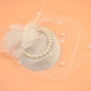 Small Bridal Hair Cage, Hat, and Veil