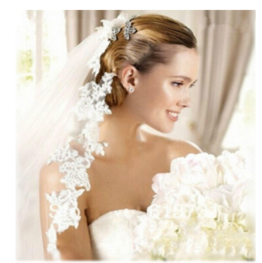 Lace Bridal Veil in Ivory or White